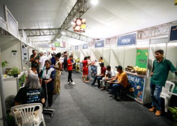 Governo direciona investimento de R$ 25 milhões para agricultura familiar em Pernambuco