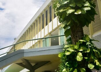 Caruaru será sede de cerimônia de entrega do Selo UNICEF