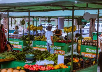 Feira da Agricultura Familiar seguirá acontecendo durante o mês de dezembro 