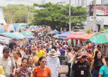 Prefeitura de Caruaru realiza censo na Feira da Sulanca