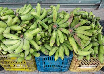 Ceaca realiza cotação de preços desta semana 