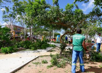 Mais de 1.500 toneladas de entulhos foram retirados do bairro Xique-Xique
