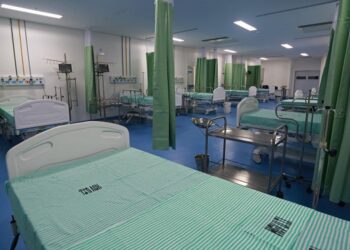 Pernambuco registra outro caso do fungo Candida auris