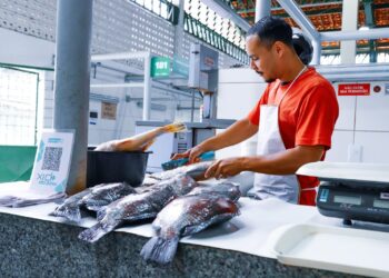 Inscrições para comercializar na tradicional feira do peixe já estão abertas