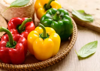 Preço do pimentão tem redução de 50%, aponta Ceaca