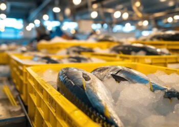 Compra e preparo de peixes exigem cuidados, alerta a Secretaria de Saúde