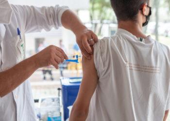 Vacina do Butantan contra a Chikungunya é aprovada pela Anvisa 