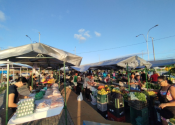 Feira do Xique-Xique terá novo local a partir de sábado (17) 