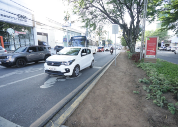 Prefeitura alerta para riscos com árvores durante períodos de chuva intensa