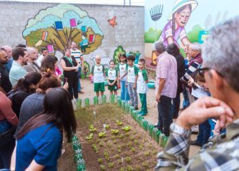 Primeira horta escolar da rede municipal é implantada em ETI no Alto do Moura