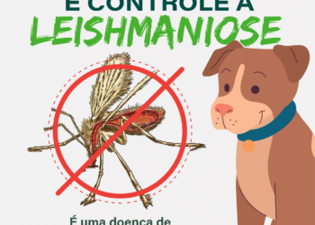 Caruaru promove Semana de Conscientização sobre Prevenção e Controle da Leishmaniose