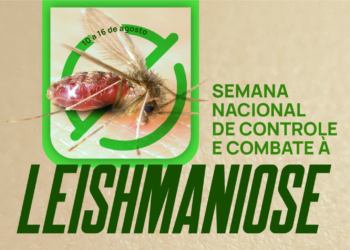 Secretaria de Saúde de Pernambuco alerta sobre a  Leishmaniose