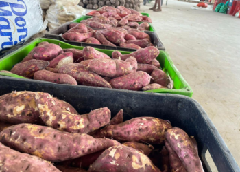 Ceaca divulga cotação semanal de preços