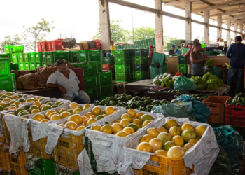 Acerola tem aumento de 29% no preço, segundo a Ceaca