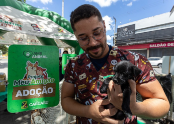 Marco Zero de Caruaru recebe campanha de adoção de pets “Meu amigão”