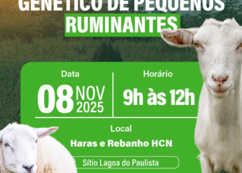 Caruaru terá ação sobre Melhoramento Genético de Pequenos Ruminantes