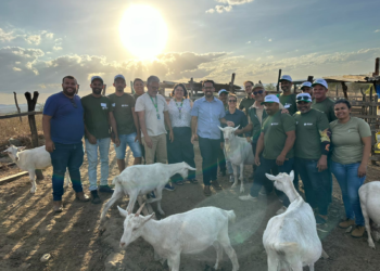 Caruaru oferece curso de caprinocultura para agricultores familiares do município