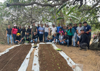 Quilombo Serra Verde, em Caruaru, recebe Quintal Produtivo