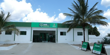 AME Animal em Caruaru passa a funcionar nos finais de semana e feriados