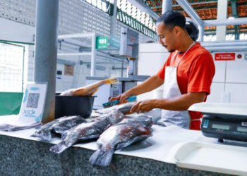 Inscrições para comercialização na Feira do Peixe encerram esta semana