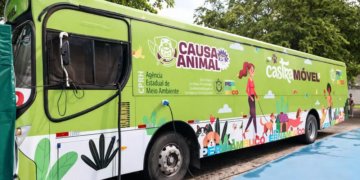 Programa de castração de animais é prorrogado em Caruaru