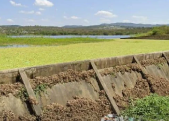 Barragem do Cipó, em Caruaru, começa a ser esvaziada