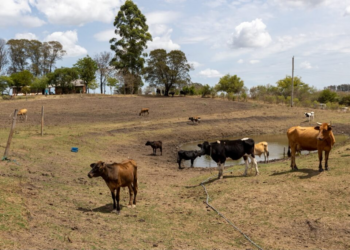 Pernambuco decreta situação de emergência em 75 municípios 