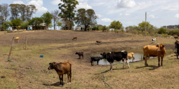 Pernambuco decreta situação de emergência em 75 municípios 