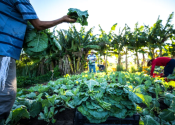 Centro de Formação da Agricultura Familiar será inaugurado no bairro Petrópolis