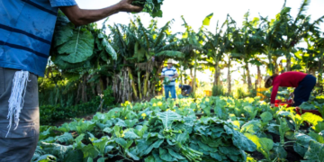 Centro de Formação da Agricultura Familiar será inaugurado no bairro Petrópolis