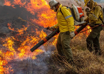 Governo repassa R$ 337 milhões para combate a incêndios e desmatamento