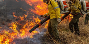 Governo repassa R$ 337 milhões para combate a incêndios e desmatamento