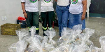 Ceaca Alimenta arrecada mais de 80 toneladas de alimentos no primeiro semestre de 2026