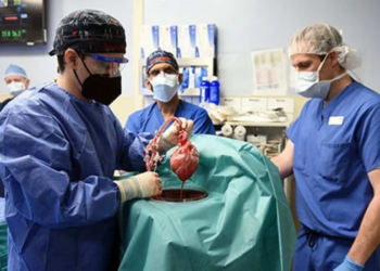 Em Pernambuco, mais de 3,9 mil pessoas aguardam por um transplante