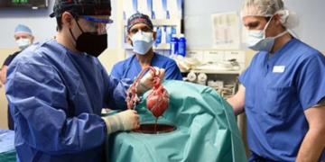 Em Pernambuco, quase 4 mil pessoas aguardam por um transplante