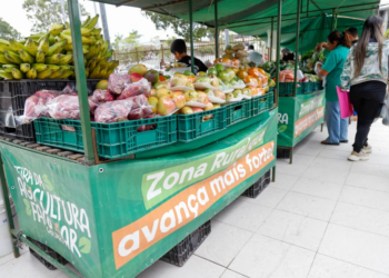 Garantia-Safra 2026/2027 está aberta para agricultores de Caruaru