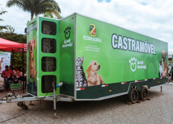 Caruaru realiza cadastro para castração de animais
