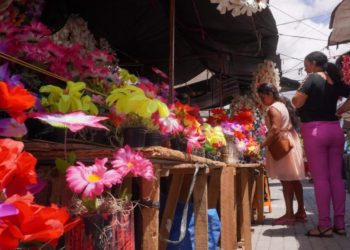 Cadastro para comercialização de flores e arranjos no Dia de Finados está aberto em Caruaru
