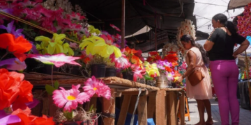 Cadastro para comercialização de flores e arranjos no Dia de Finados está aberto em Caruaru