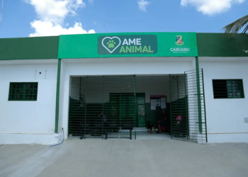 Prédio da AME Animal vai funcionar como centro de recuperação dos animais de rua