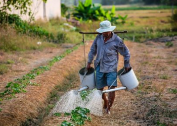 Pernambuco é o terceiro estado do nordeste com maior número de conflitos agrários