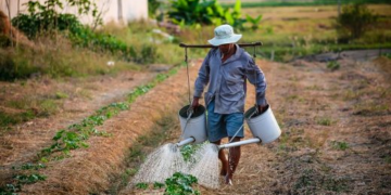 Pernambuco é o terceiro estado do nordeste com maior número de conflitos agrários