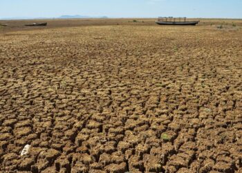 Pernambuco tem alerta de até 40 graus no Sertão e Agreste